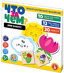 Игра развивающая - Что за чем? Мир вокруг