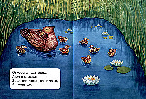 Ducks