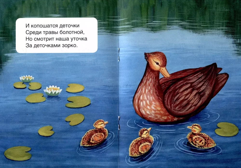 Ducks