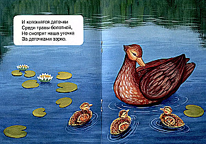 Ducks