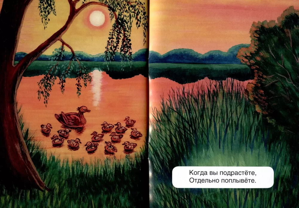Ducks