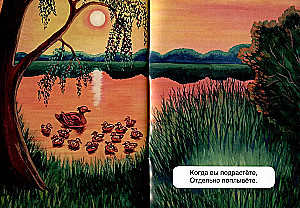 Ducks