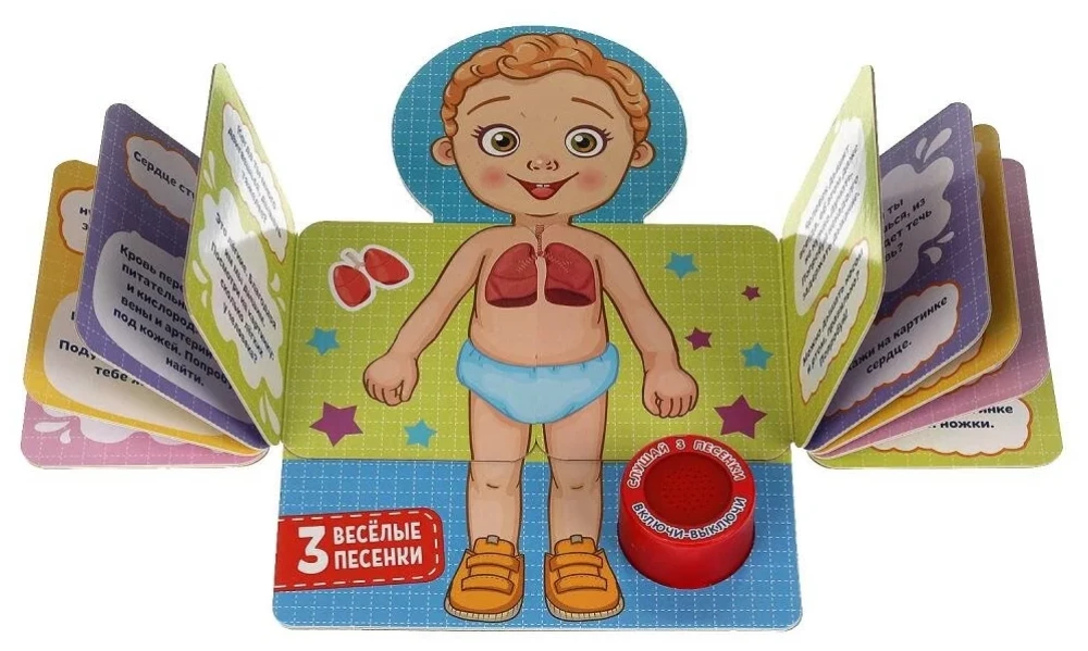 The Human Body. 20 Developmental Tasks (3 Fun Songs)