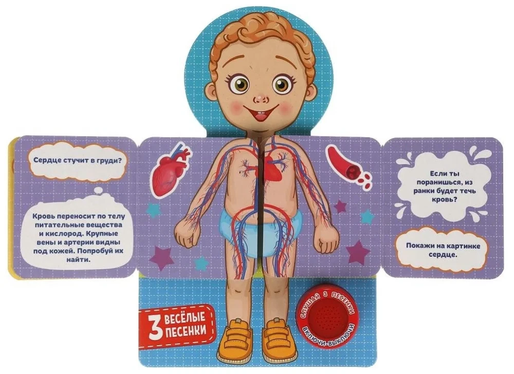 The Human Body. 20 Developmental Tasks (3 Fun Songs)