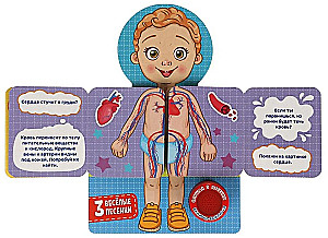The Human Body. 20 Developmental Tasks (3 Fun Songs)