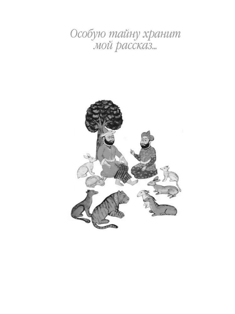 The Path of Transformations. Sufi Parables