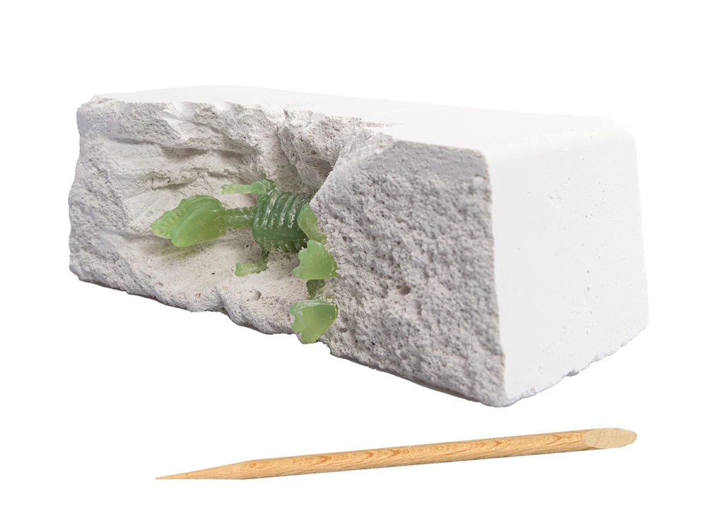 Excavation Set of the Young Paleontologist