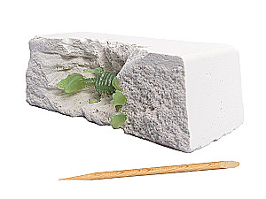 Excavation Set of the Young Paleontologist