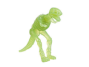 Excavation Set of the Young Paleontologist