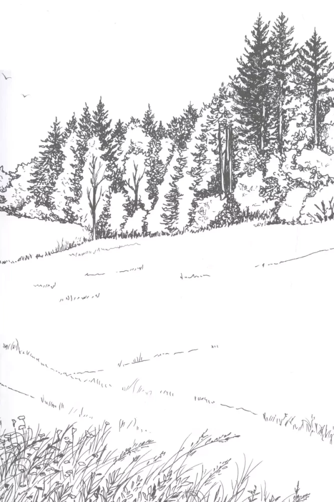 Die am Rande des Waldes Laufenden