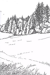 Die am Rande des Waldes Laufenden
