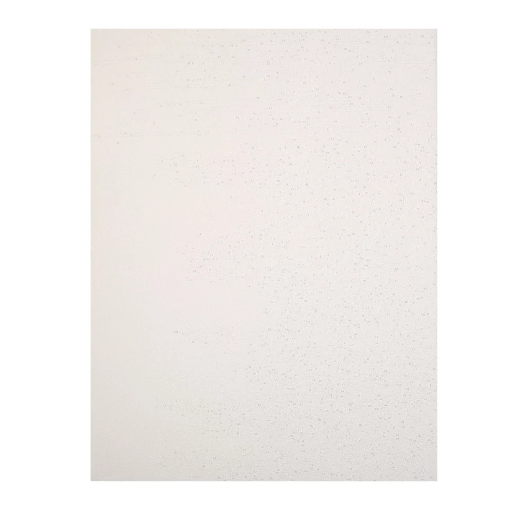 Numbered painting Molly with foil 40x50 Golden Rye