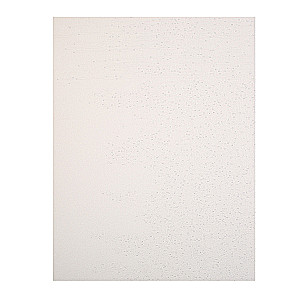 Numbered painting Molly with foil 40x50 Golden Rye