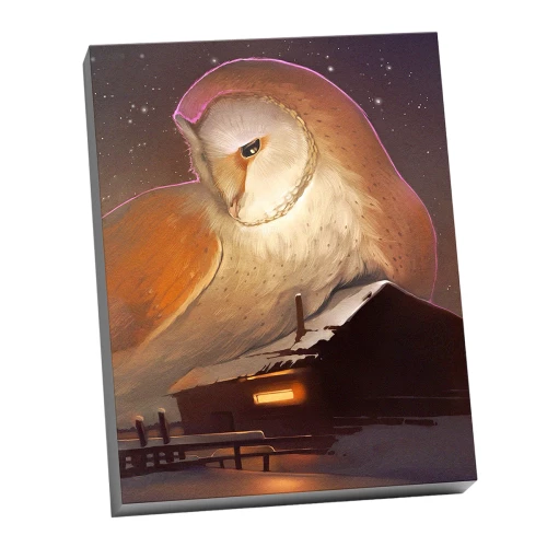Numbered Painting Molly (40x50) Night Owl Barn Owl