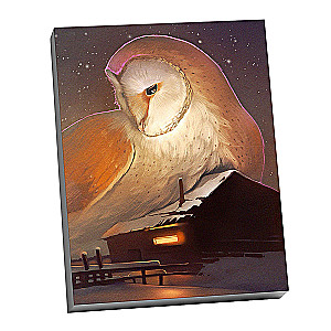 Numbered Painting Molly (40x50) Night Owl Barn Owl