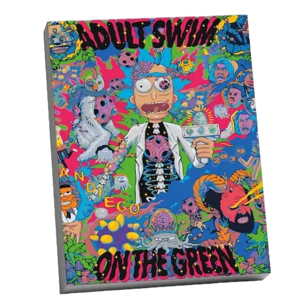 Numbered Painting Molly (40x50) RICK AND MORTY
