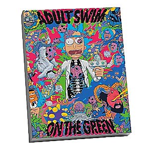 Numbered Painting Molly (40x50) RICK AND MORTY