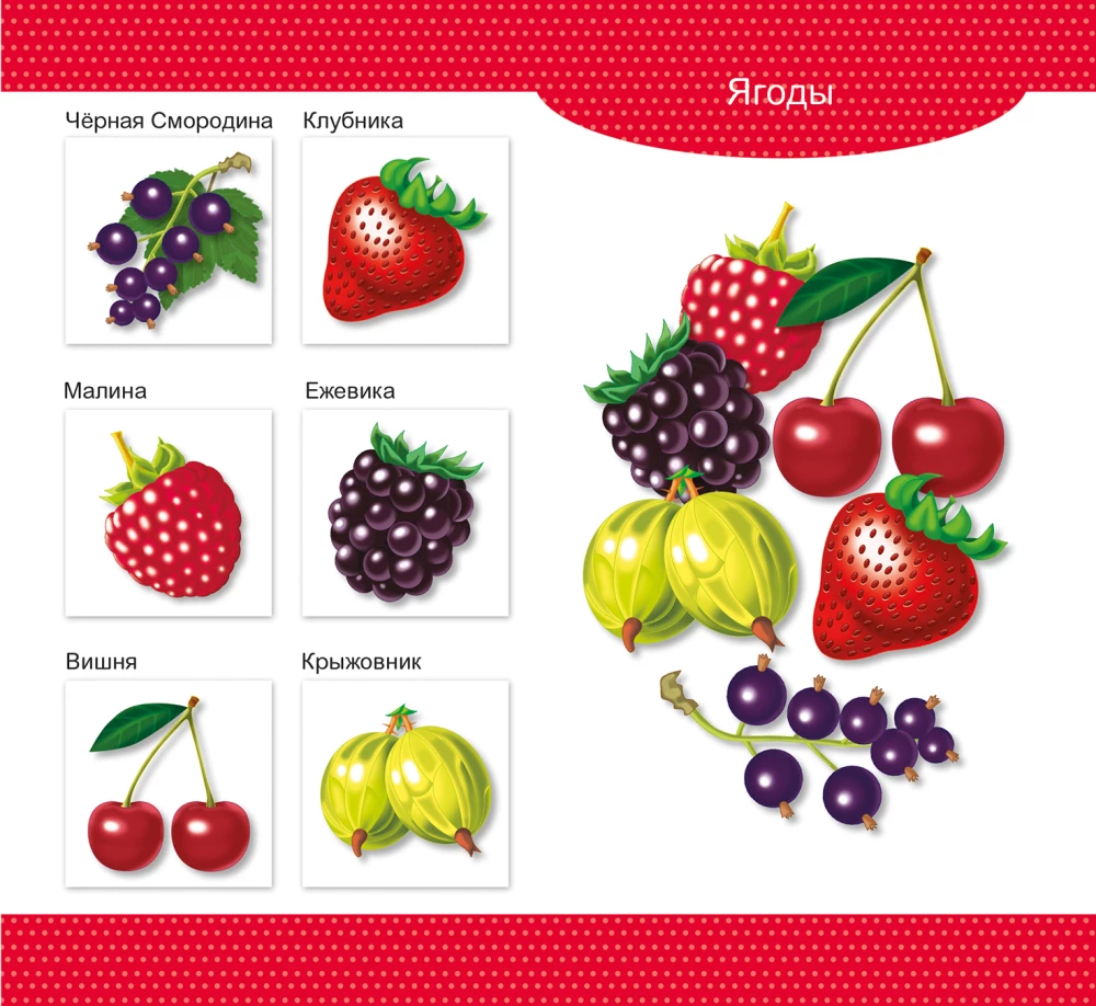 Wooden Lotto Vegetables and Fruits