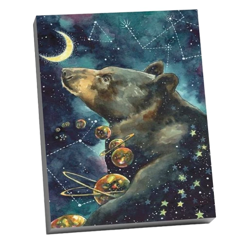 Numbered Painting Molly (40x50) Dreamer Bear