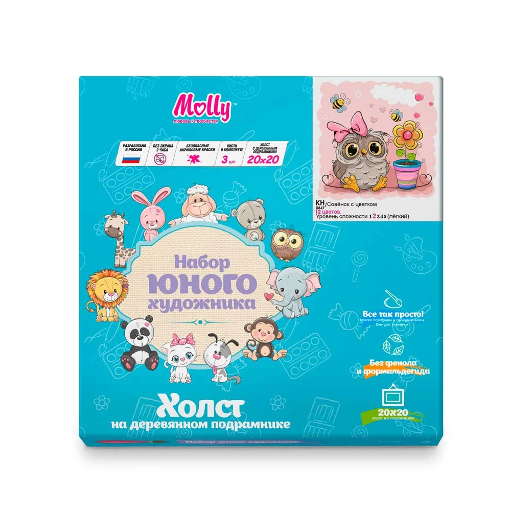 Obraz do malowania po numerach Molly (20x20) Sowe z kwiatkiem