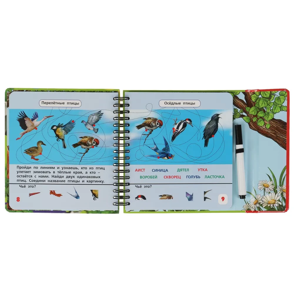 Exploring the World of Animals (50 Games for the Road)