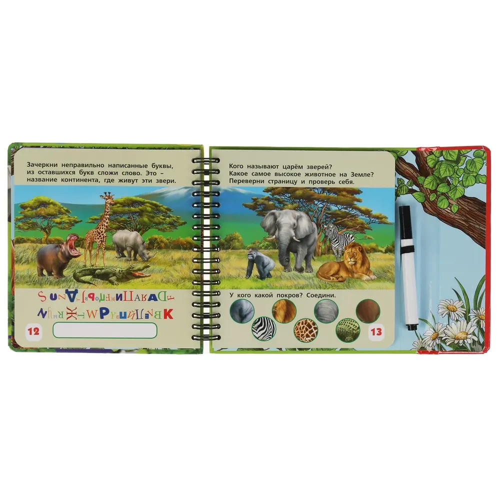 Exploring the World of Animals (50 Games for the Road)