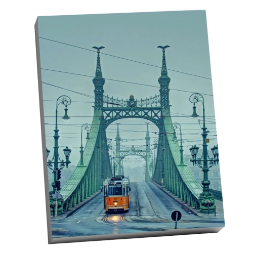 Numbered painting Molly (40x50) Budapest. Liberty Bridge