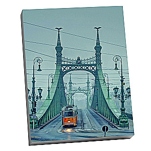 Numbered painting Molly (40x50) Budapest. Liberty Bridge