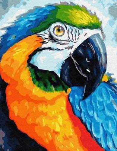 Numbered Painting with Gold Leaf 15x20 - Ara Parrot