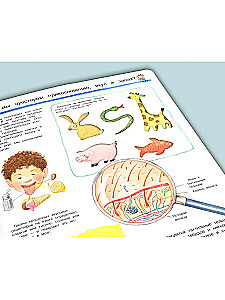 What? Why? What for? Studying our body (with magical windows)
