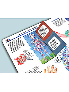 What? Why? What for? Studying our body (with magical windows)