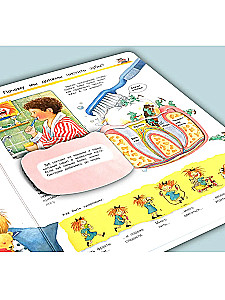 What? Why? What for? Studying our body (with magical windows)