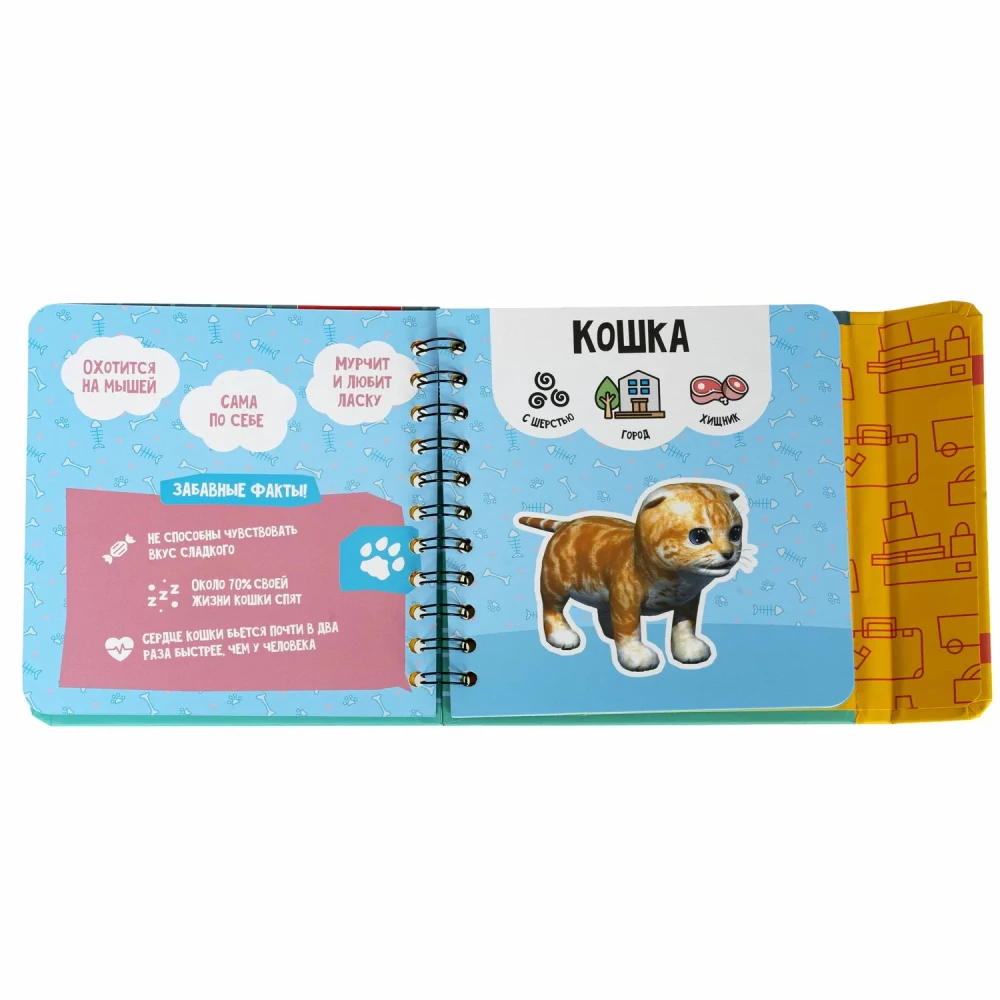 Mini-Games on the Road: Learning about Wild and Domestic Animals
