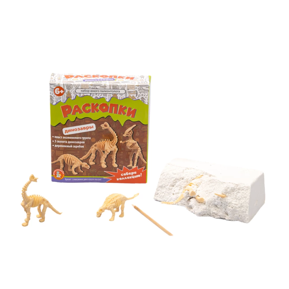 Excavation Set for Young Paleontologist