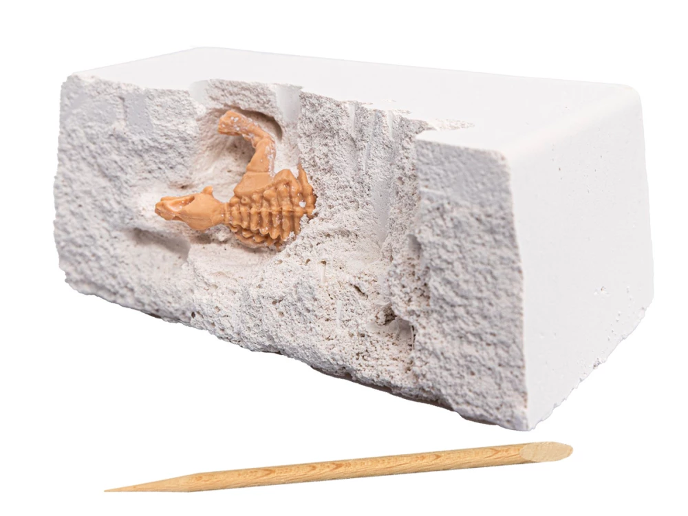 Excavation Set for Young Paleontologist