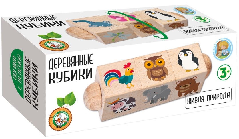 Holz würfel auf Achse - Lebendige Natur