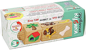 Wooden cubes on an axis Who lives where and what eats?