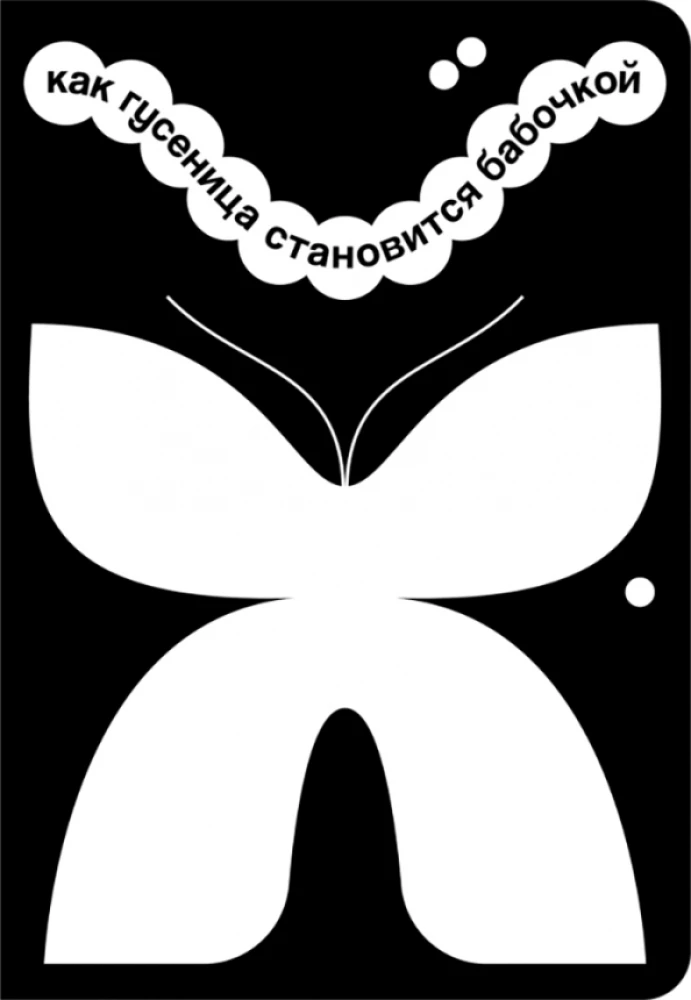 How a Caterpillar Becomes a Butterfly