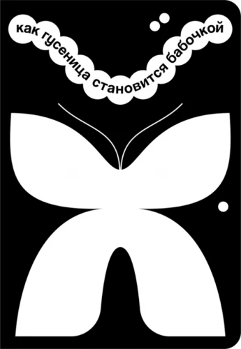 How a Caterpillar Becomes a Butterfly