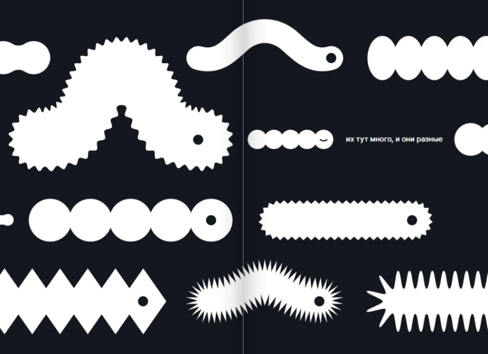 How a Caterpillar Becomes a Butterfly