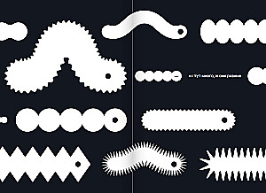 How a Caterpillar Becomes a Butterfly