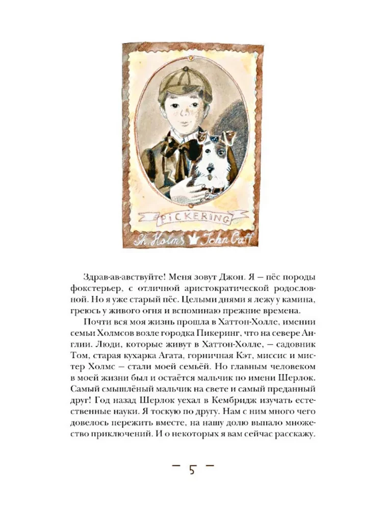Boy Sherlock Holmes. New Adventures