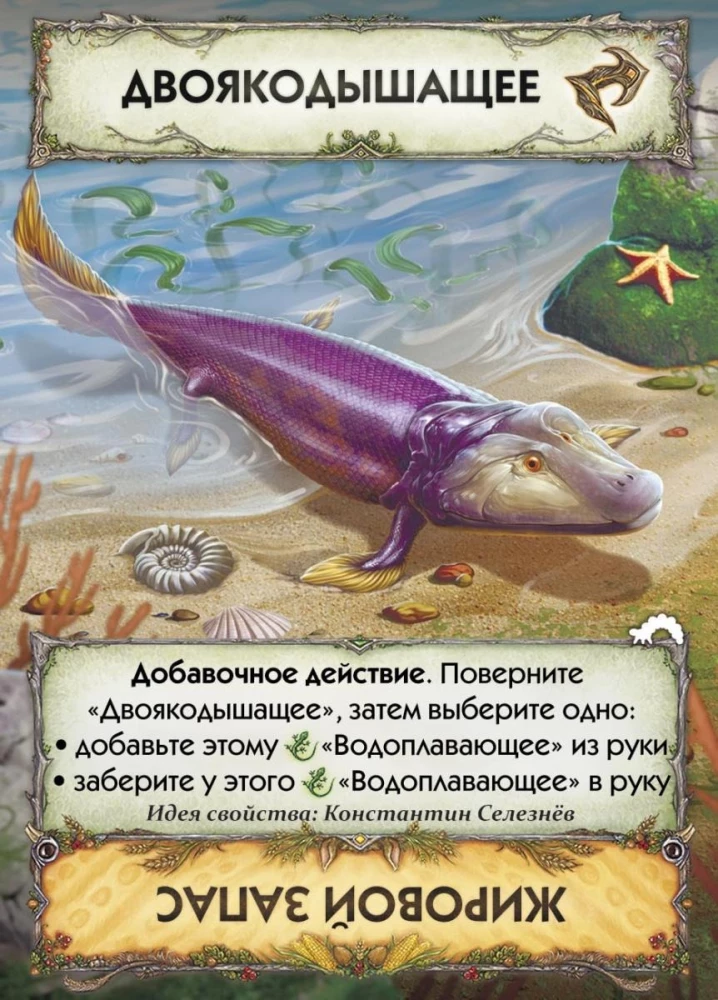 Card Game Evolution. Metamorphoses