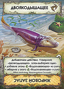 Card Game Evolution. Metamorphoses