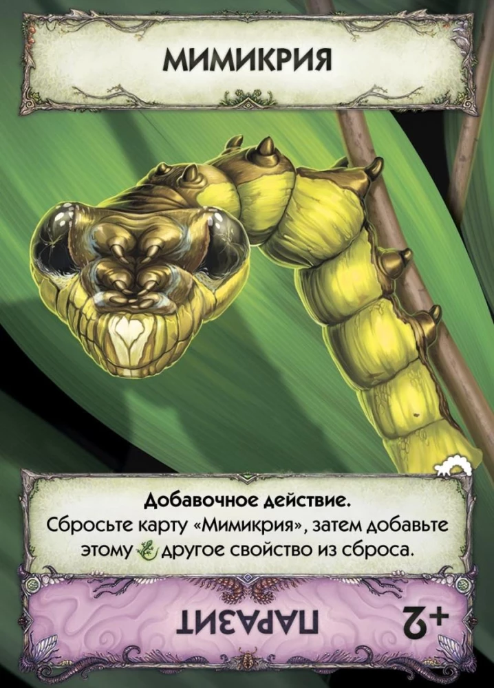 Card Game Evolution. Metamorphoses