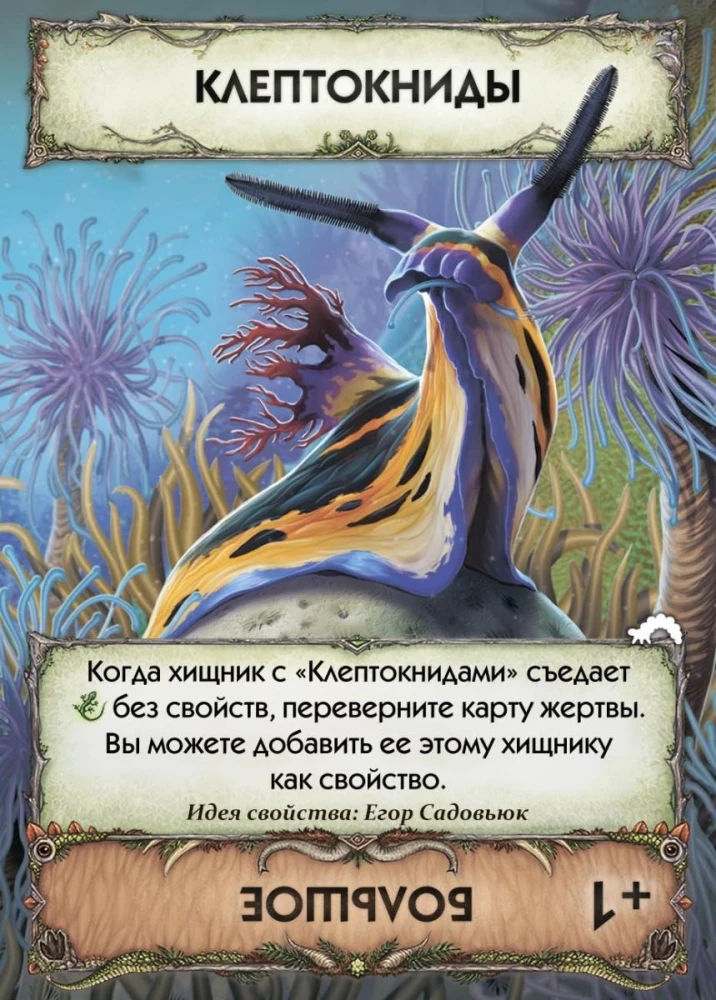 Card Game Evolution. Metamorphoses