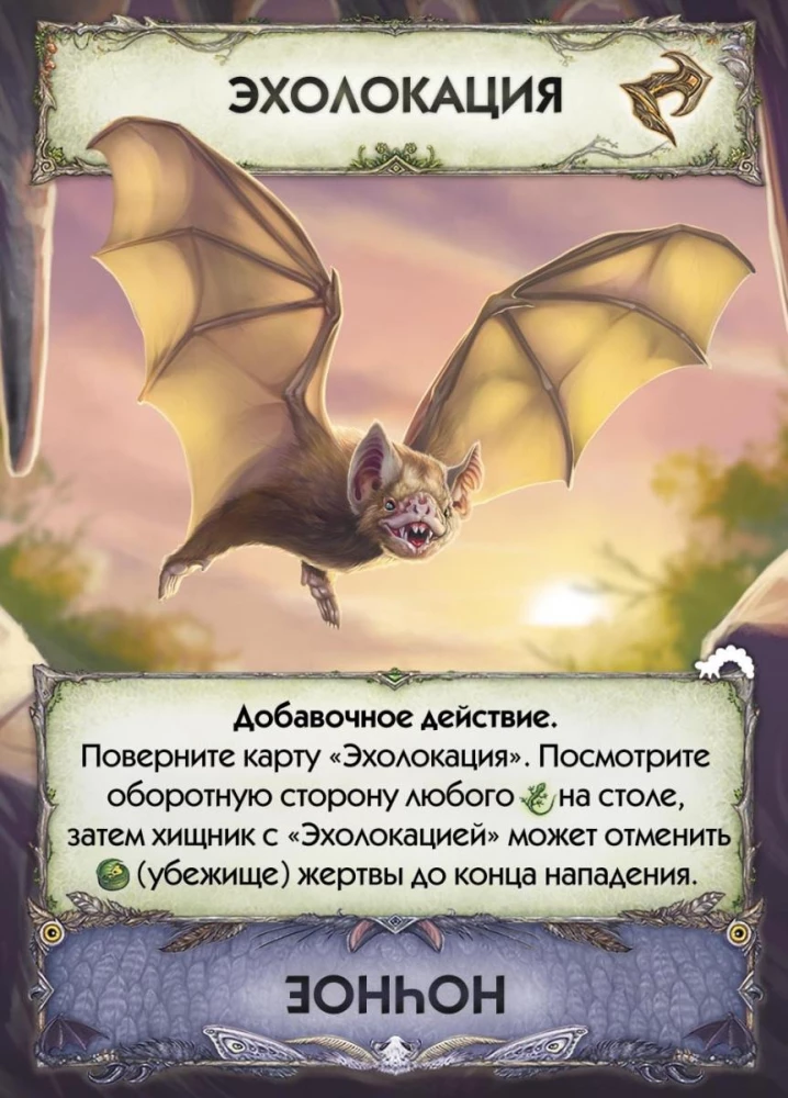 Card Game Evolution. Metamorphoses