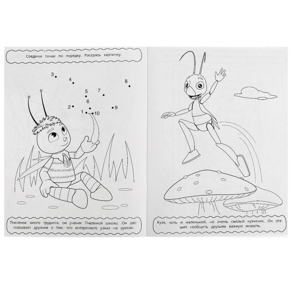 Luntik. Incredible Adventures. Coloring Book with Maze