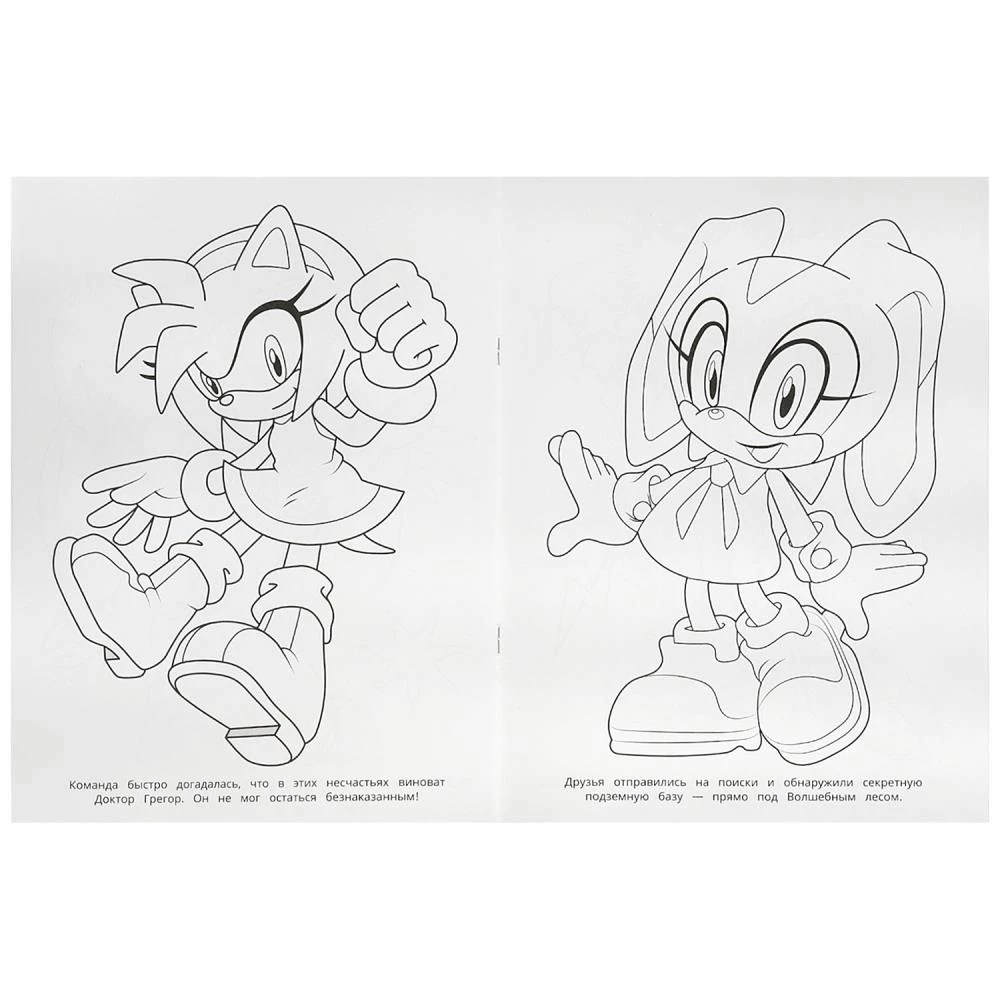 Super Hedgehog. Coloring Book