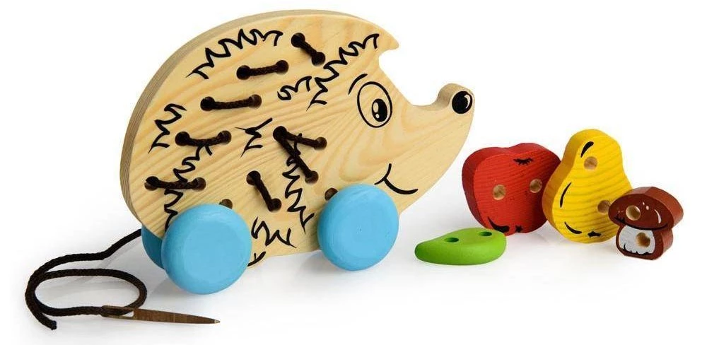 Lacing Hedgehog